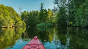 Popołudniowy spływ na Krutyni, sierpień 2025 r. - zdjęcie 43