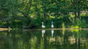 Popołudniowy spływ na Krutyni, sierpień 2025 r. - zdjęcie 25