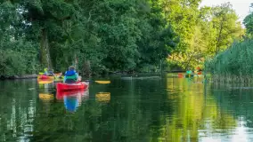Popołudniowy spływ na Krutyni, sierpień 2025 r. - zdjęcie 13