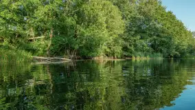 Popołudniowy spływ na Krutyni, sierpień 2025 r. - zdjęcie 20