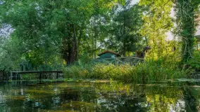 Popołudniowy spływ na Krutyni, sierpień 2025 r. - zdjęcie 61