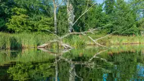 Popołudniowy spływ na Krutyni, sierpień 2025 r. - zdjęcie 62