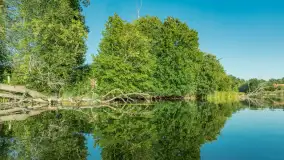 Popołudniowy spływ na Krutyni, sierpień 2025 r. - zdjęcie 50