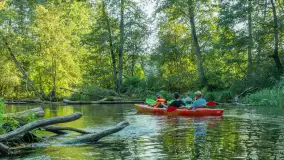 Popołudniowy spływ na Krutyni, sierpień 2025 r. - zdjęcie 42