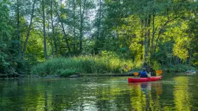 Popołudniowy spływ na Krutyni, sierpień 2025 r. - zdjęcie 58
