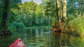 Popołudniowy spływ na Krutyni, sierpień 2025 r. - zdjęcie 48