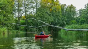 Popołudniowy spływ na Krutyni, sierpień 2025 r. - zdjęcie 70