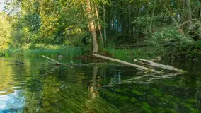 Popołudniowy spływ na Krutyni, sierpień 2025 r. - zdjęcie 69