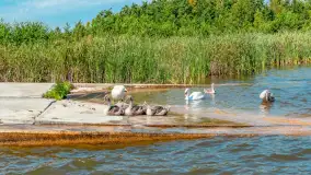 Mazurski szlak z wody, sierpień 2025 r., cz. III - zdjęcie 33