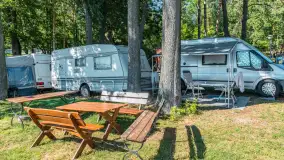 Nasza porty partnerskie - Pod Dębem, jezioro Nidzkie, sierpień 2025 r. - zdjęcie 49