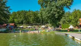 Nasza porty partnerskie - Pod Dębem, jezioro Nidzkie, sierpień 2025 r. - zdjęcie 19