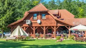 Nasza porty partnerskie - Pod Dębem, jezioro Nidzkie, sierpień 2025 r. - zdjęcie 46