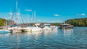 Nasza porty partnerskie - Pod Dębem, jezioro Nidzkie, sierpień 2025 r. - zdjęcie 71