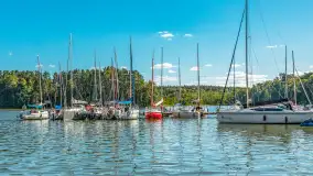 Nasza porty partnerskie - Pod Dębem, jezioro Nidzkie, sierpień 2025 r. - zdjęcie 47