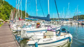 Nasza porty partnerskie - Pod Dębem, jezioro Nidzkie, sierpień 2025 r. - zdjęcie 42