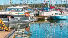 Nasza porty partnerskie - Pod Dębem, jezioro Nidzkie, sierpień 2025 r. - zdjęcie 57