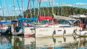 Nasza porty partnerskie - Pod Dębem, jezioro Nidzkie, sierpień 2025 r. - zdjęcie 65