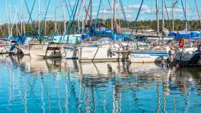 Nasza porty partnerskie - Pod Dębem, jezioro Nidzkie, sierpień 2025 r. - zdjęcie 73