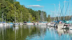 Nasza porty partnerskie - Pod Dębem, jezioro Nidzkie, sierpień 2025 r. - zdjęcie 69