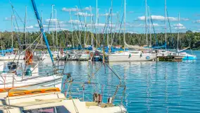 Nasza porty partnerskie - Pod Dębem, jezioro Nidzkie, sierpień 2025 r. - zdjęcie 66