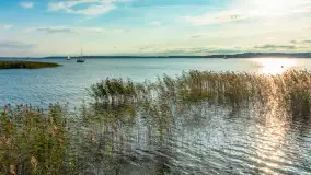 Jezioro Mamry w okolicach Węgorapy, sierpień 2025 r. - zdjęcie 29