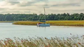 Jezioro Mamry w okolicach Węgorapy, sierpień 2025 r. - zdjęcie 6