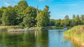 Jezioro Mamry w okolicach Węgorapy, sierpień 2025 r. - zdjęcie 2