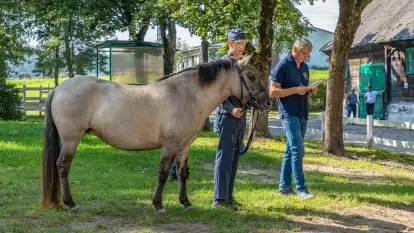 Fotorelacja - 70 lat konika polskiego w Popielnie – jubileuszowe spotkanie
