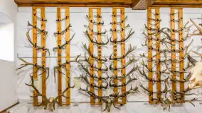 Fotorelacja - 70 lat konika polskiego w Popielnie – jubileuszowe spotkanie - zdjęcie 77