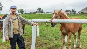 Sulimiada 2025 – przegląd źrebiąt i rodzinny piknik w Sulimach - zdjęcie 9
