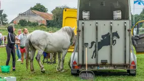 Sulimiada 2025 – przegląd źrebiąt i rodzinny piknik w Sulimach - zdjęcie 51