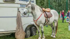 Sulimiada 2025 – przegląd źrebiąt i rodzinny piknik w Sulimach - zdjęcie 91