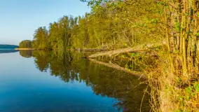 Wiosenne kadry o wschodzie słońca na Bełdanami, kwiecień 2025 r. - zdjęcie 12