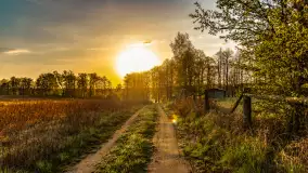 Wiosenne kadry o wschodzie słońca na Bełdanami, kwiecień 2025 r. - zdjęcie 20