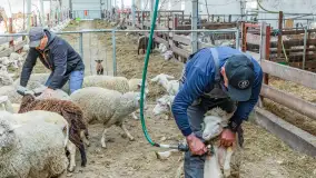 Fotorelacja z IV Redyku Mazurskiego, 04 października 2025 r. - zdjęcie 87