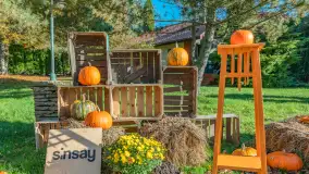 Dyniowy Port w Ogonkach, odkryj barwy jesieni na Mazurach - zdjęcie 12