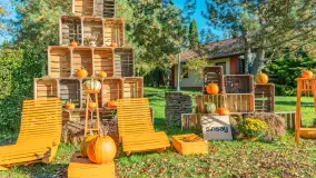 Dyniowy Port w Ogonkach, odkryj barwy jesieni na Mazurach - zdjęcie 5