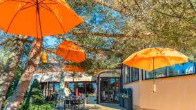 Dyniowy Port w Ogonkach, odkryj barwy jesieni na Mazurach - zdjęcie 15