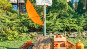 Dyniowy Port w Ogonkach, odkryj barwy jesieni na Mazurach - zdjęcie 25