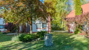 Jesienna wersja Ognistego Ptaka w Ogonkach, październik 2025 r. - zdjęcie 32