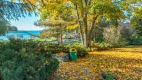 Jesienna wersja Ognistego Ptaka w Ogonkach, październik 2025 r. - zdjęcie 2