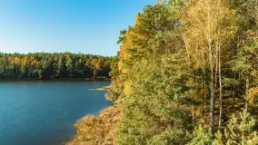 Jezioro Wesołek i puszcza Piska z drona, jesień 2025 r. - zdjęcie 18