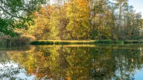 Jesień w Rezerwacie Przyrody Krutynia, październik 2025 r. - zdjęcie 10