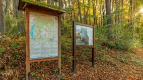 Jesień w Rezerwacie Przyrody Krutynia, październik 2025 r. - zdjęcie 6