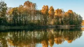 Jesień w Rezerwacie Przyrody Krutynia, październik 2025 r. - zdjęcie 23