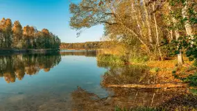 Jesień w Rezerwacie Przyrody Krutynia, październik 2025 r. - zdjęcie 3