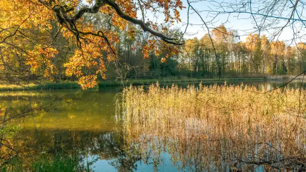 Jesień w Rezerwacie Przyrody Krutynia, październik 2025 r.