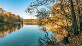 Jesień w Rezerwacie Przyrody Krutynia, październik 2025 r. - zdjęcie 20