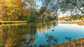 Jesień w Rezerwacie Przyrody Krutynia, październik 2025 r. - zdjęcie 29