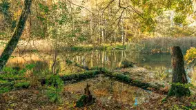 Jesień w Rezerwacie Przyrody Krutynia, październik 2025 r. - zdjęcie 69